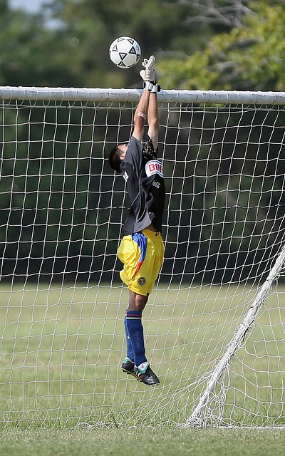 或几个月 或几个月