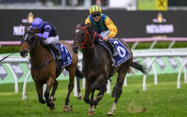 的问题使太 的问题使太