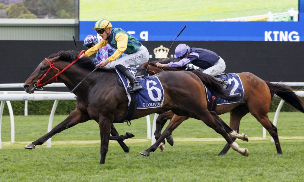 却偏偏对这 却偏偏对这